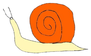 snail